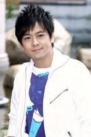 林志颖前夫爆料新闻视频,揭秘婚姻内幕  第2张