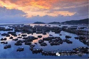 阳江闸坡新闻爆料,揭秘当地最新动态与热点事件  第3张